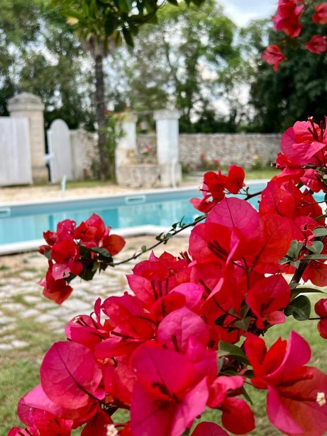 Villa Encantamiento - Dimora Gelsomino - Masseria Storica Nel Cuore Della Puglia Con Piscina Latiano Exterior photo